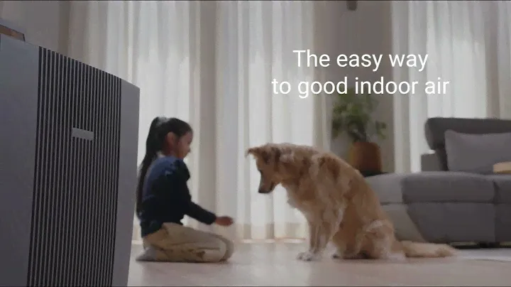 Venta Professional Series AW902 Professional Airwasher & AP902 Professional Air Purifier