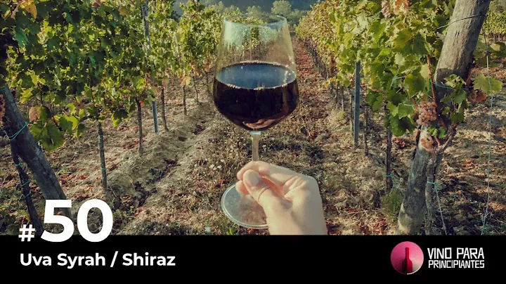 Episodio 50 - Uva Syrah / Shiraz - Vino Para Principiantes