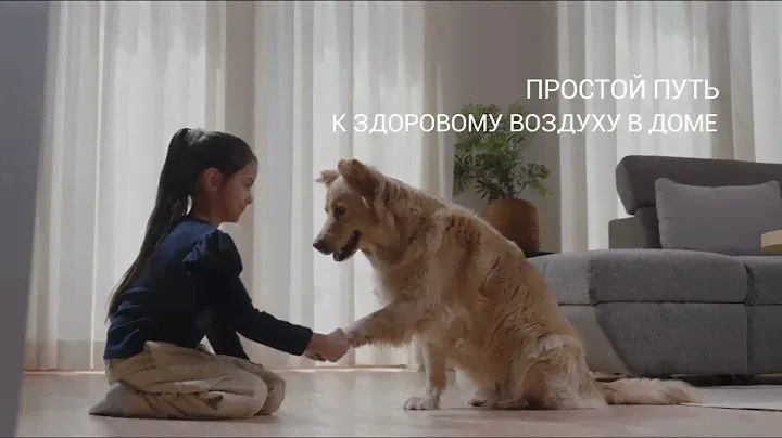 Очиститель-увлажнитель воздуха Venta Professional AH902