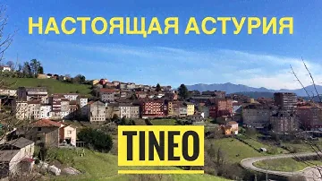 # 439 Настоящая Астурия. Tineo. Сельскохозяйственный Район Севера Испании. Asturias